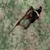 Elite Forces Defense - Defend your building. Classic game... But you have a hero!