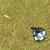 Holy War: Invasion - Action thriller adventure