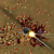 Endless Zombie Rampage - Defend your house from endless waves of zombies!